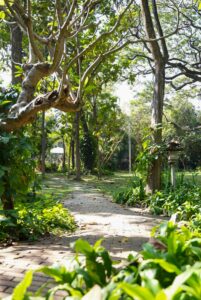 PHOTO-2024-07-24-14-42-54(2)